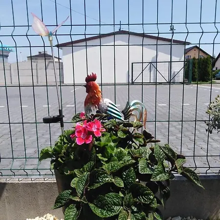 Hotel apartamentowy Pod Kogucikiem