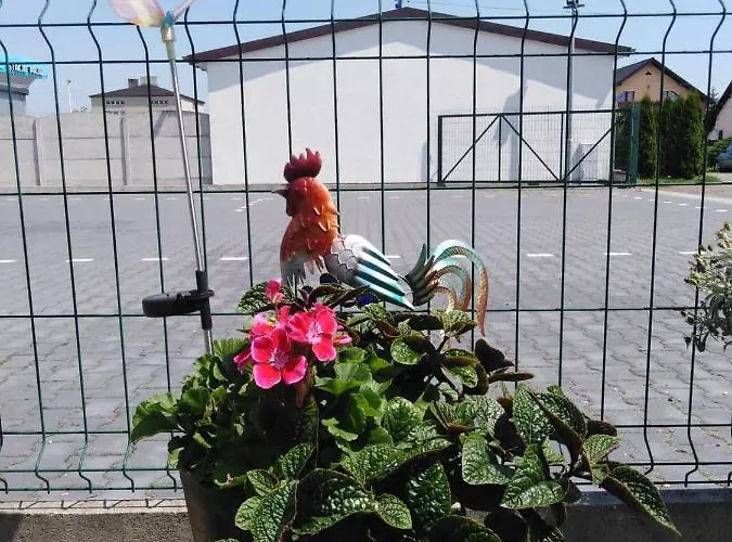 Lägenhetshotell Pod Kogucikiem